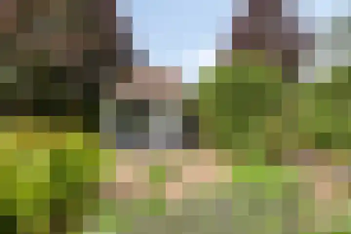 Huenderkolkweg 8 Deventer thumbnail 31