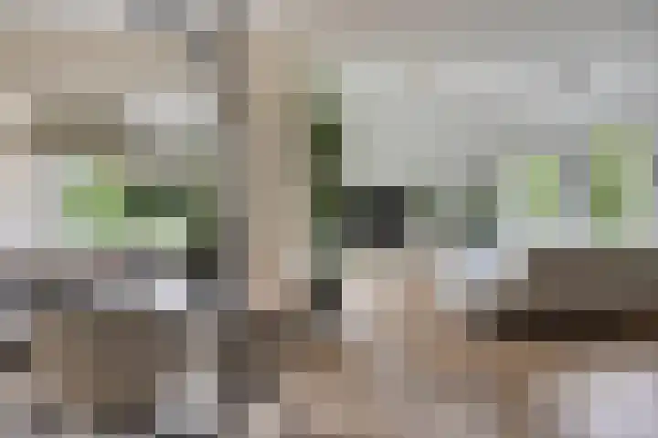 Huenderkolkweg 8 Deventer thumbnail 4