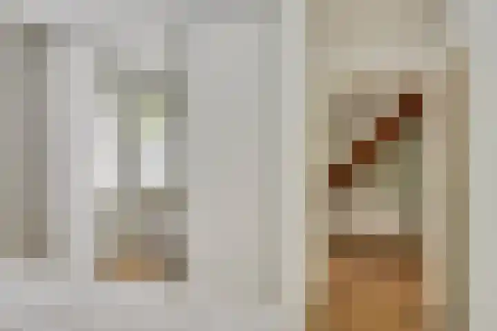 Huenderkolkweg 8 Deventer thumbnail 48