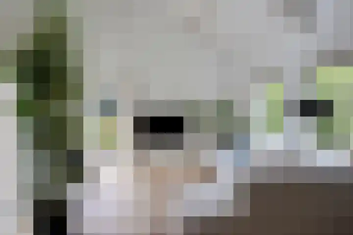 Huenderkolkweg 8 Deventer thumbnail 5