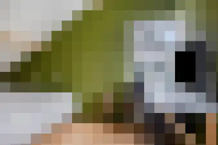 Huenderkolkweg 8 Deventer thumbnail 55