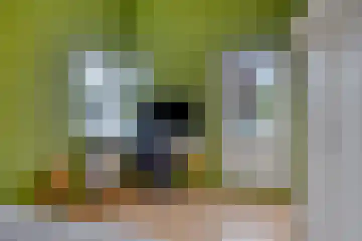 Huenderkolkweg 8 Deventer thumbnail 57