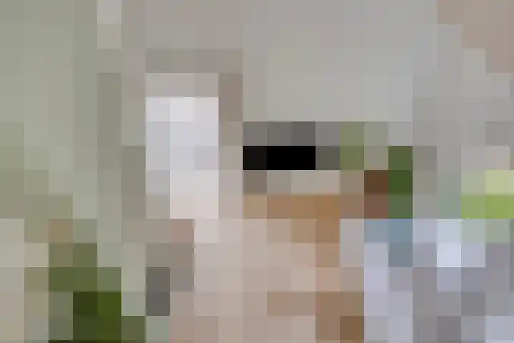 Huenderkolkweg 8 Deventer thumbnail 59