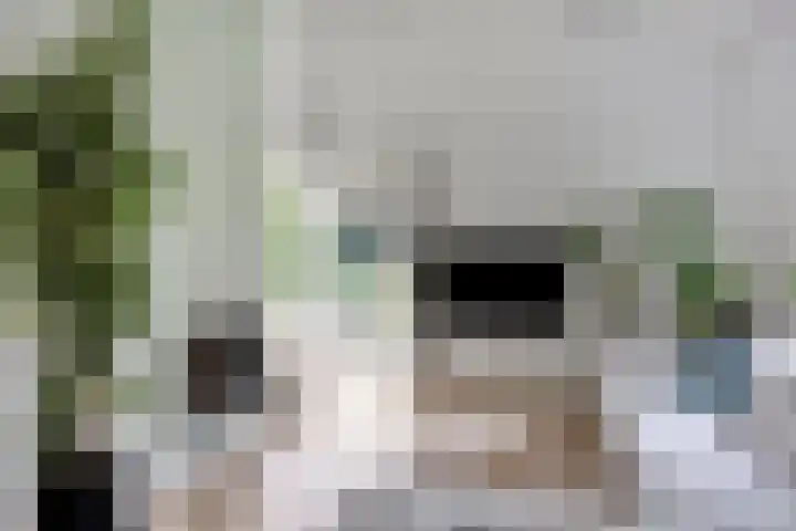 Huenderkolkweg 8 Deventer thumbnail 6