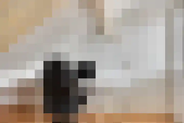 Huenderkolkweg 8 Deventer thumbnail 60