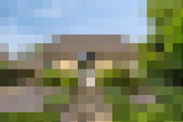 Huenderkolkweg 8 Deventer thumbnail 64