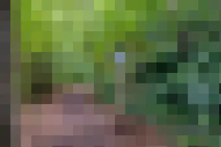 Huenderkolkweg 8 Deventer thumbnail 66