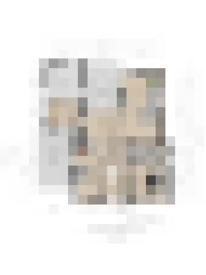 Huenderkolkweg 8 Deventer thumbnail 68