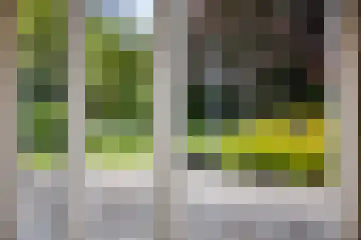 Huenderkolkweg 8 Deventer thumbnail 7