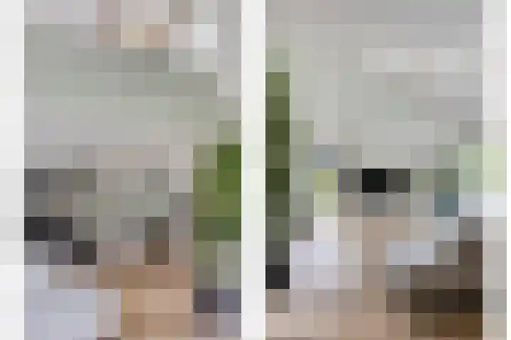 Huenderkolkweg 8 Deventer thumbnail 9