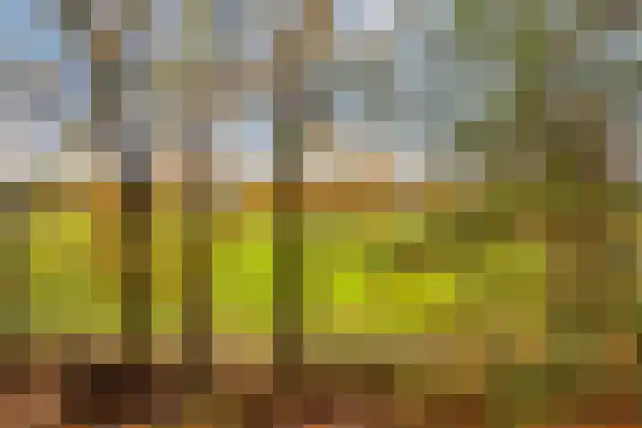 Huenderweg 1 a Doldersum thumbnail 25