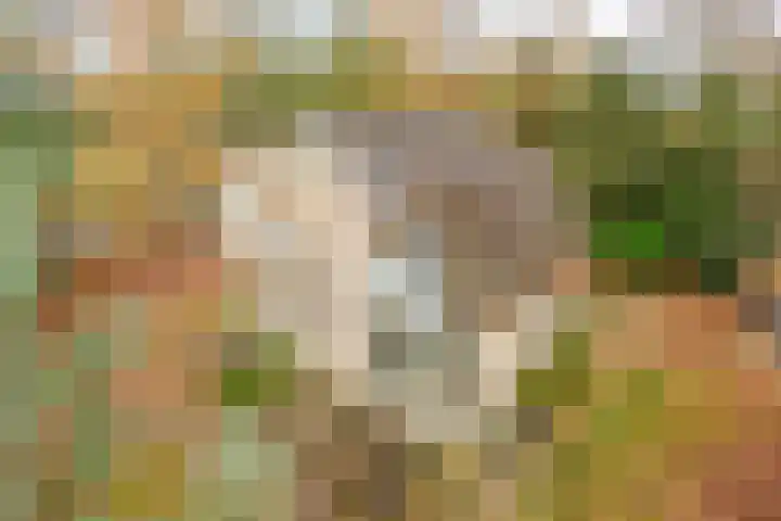 Huenderweg 1 a Doldersum thumbnail 29