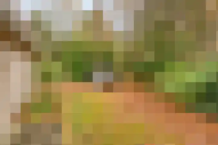 Huenderweg 1 a Doldersum thumbnail 32