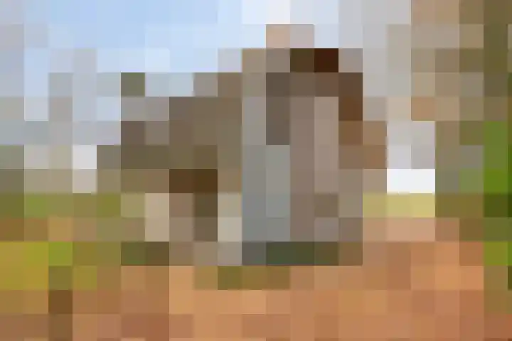 Huenderweg 1 a Doldersum thumbnail 33