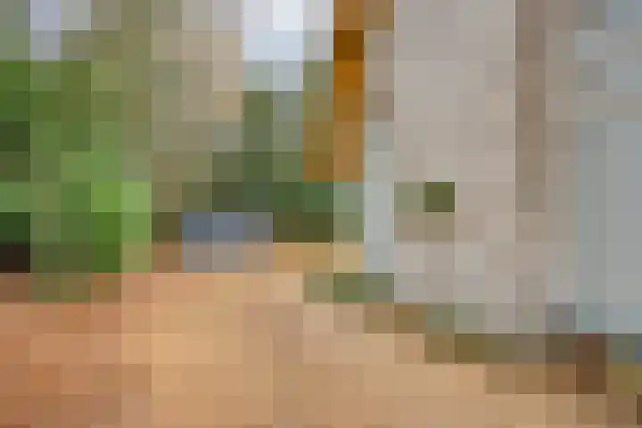 Huenderweg 1 a Doldersum thumbnail 34