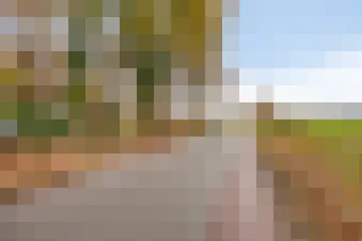 Huenderweg 1 a Doldersum thumbnail 37