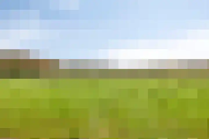 Huenderweg 1 a Doldersum thumbnail 38