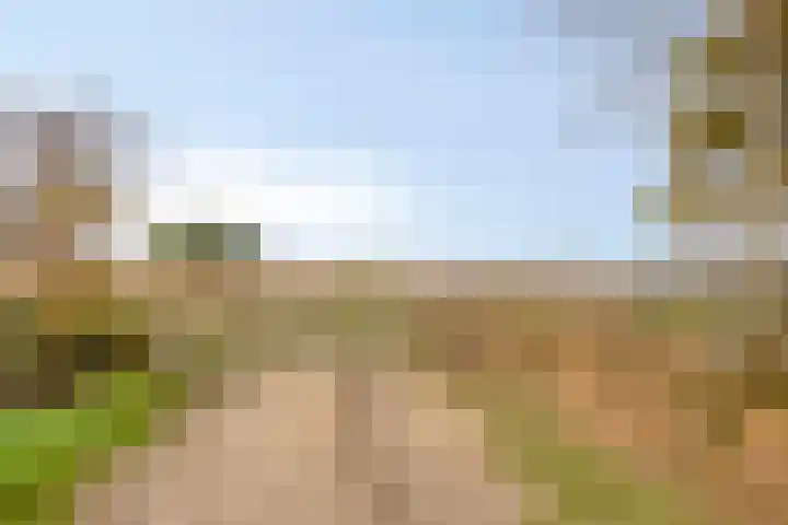 Huenderweg 1 a Doldersum thumbnail 39