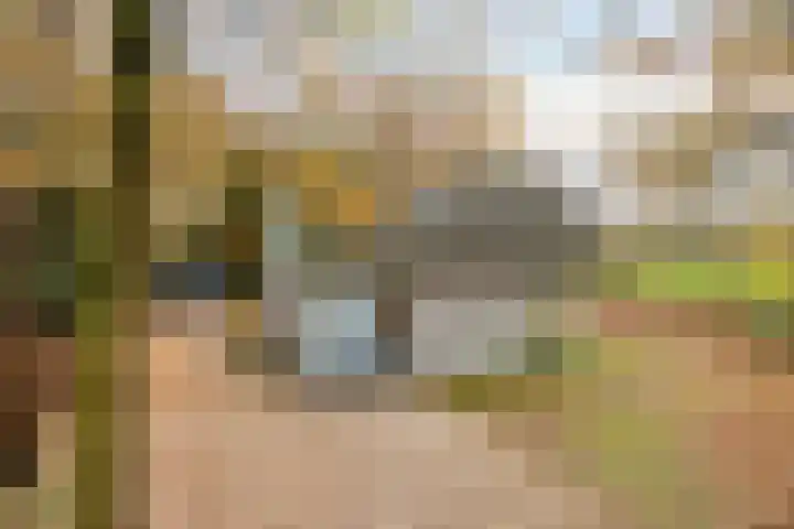 Huenderweg 1 a Doldersum thumbnail 4