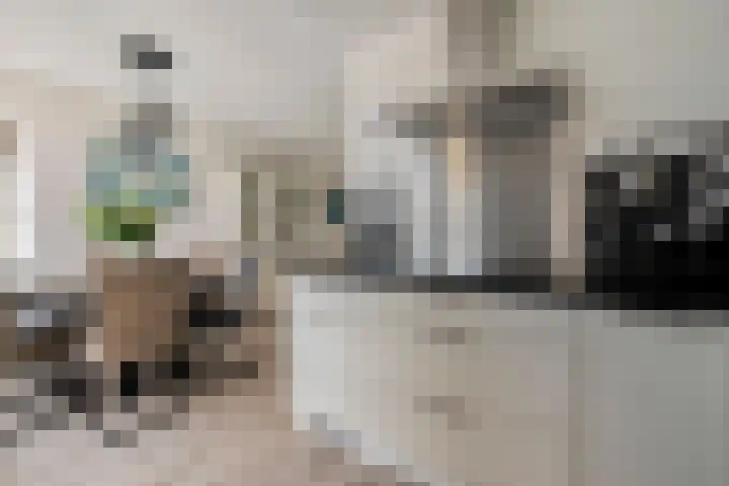 Huetemate 17 Zwolle thumbnail 13