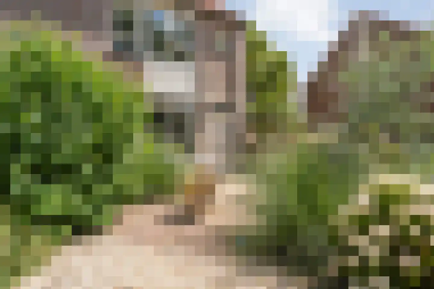 Huetemate 17 Zwolle thumbnail 22