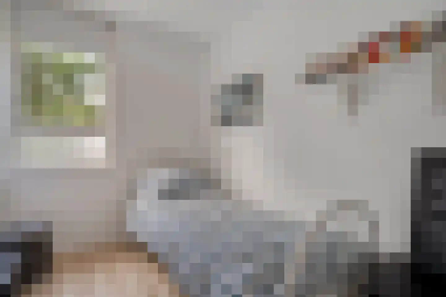 Huetemate 17 Zwolle thumbnail 25