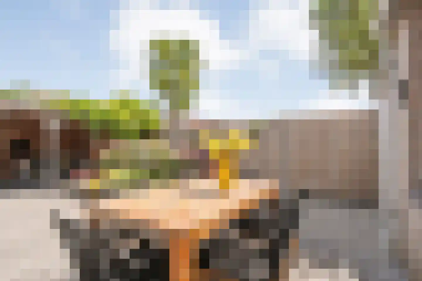 Huetemate 17 Zwolle thumbnail 36