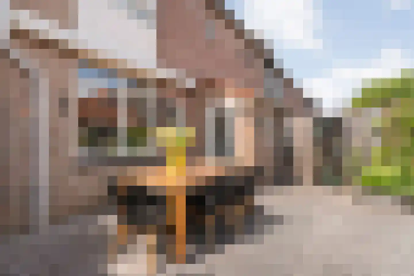 Huetemate 17 Zwolle thumbnail 38