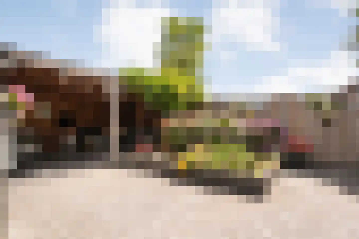 Huetemate 17 Zwolle thumbnail 40