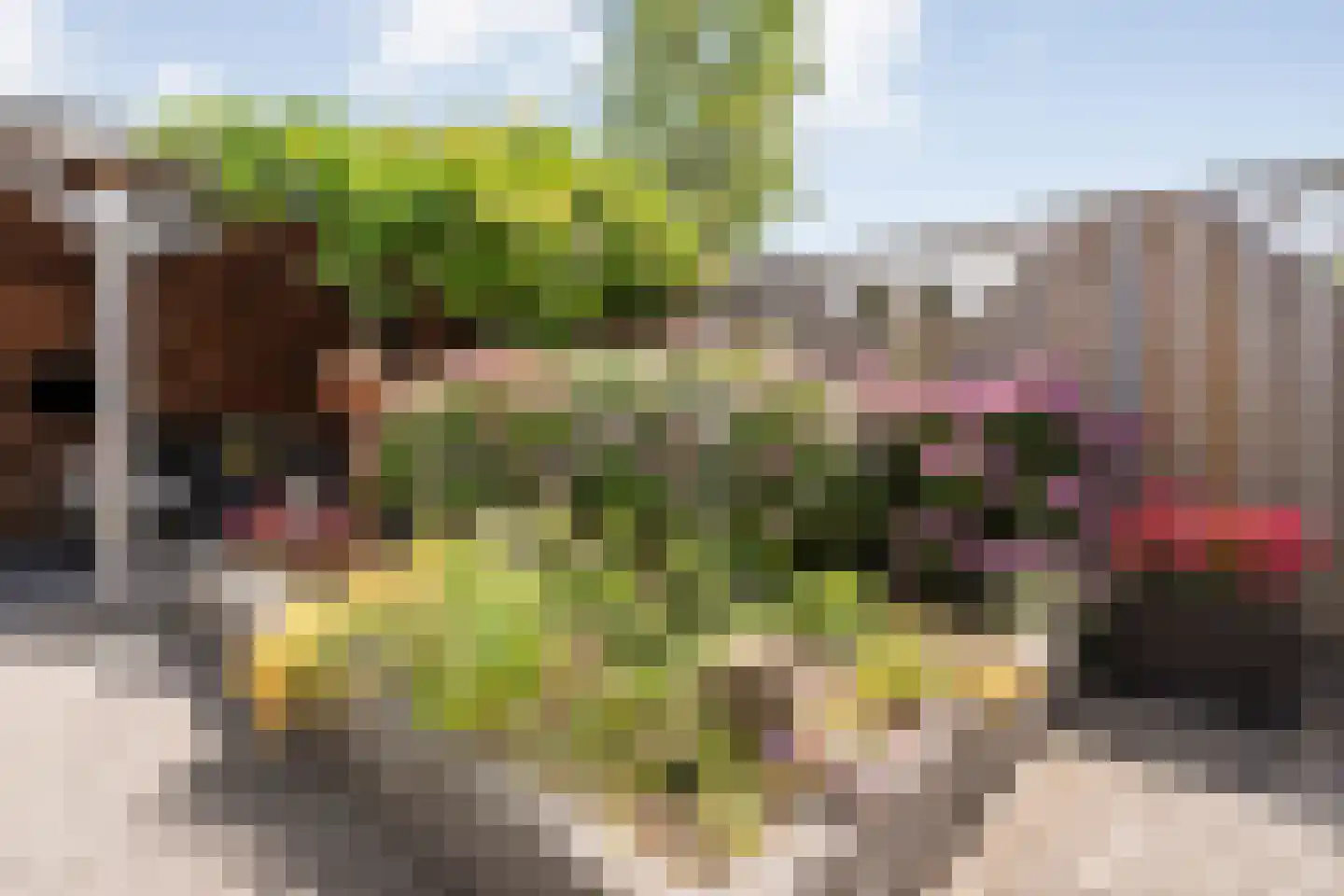 Huetemate 17 Zwolle thumbnail 42