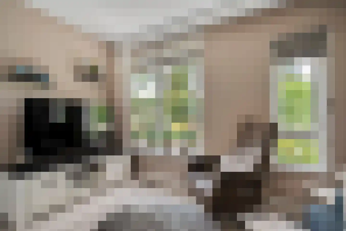 Huetemate 17 Zwolle thumbnail 9