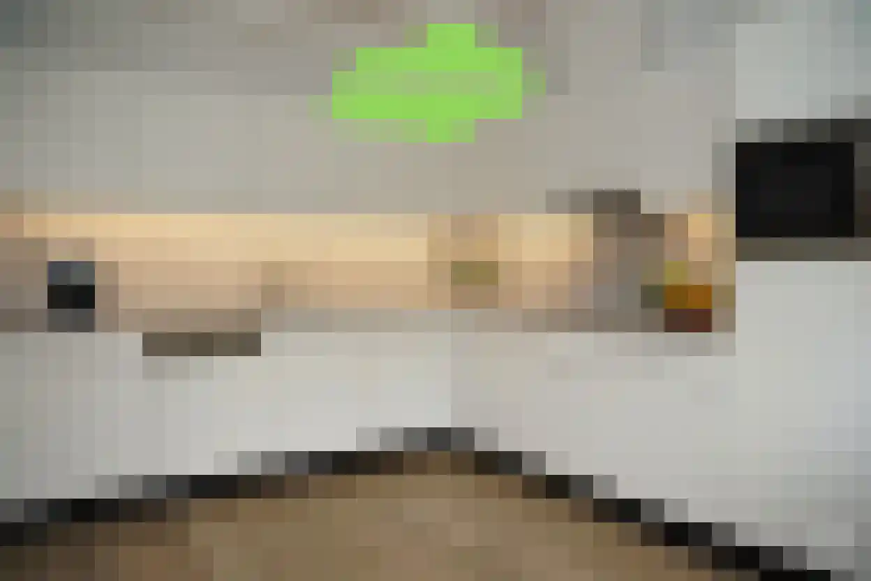 Hugevlietstraat 12 Biervliet thumbnail 14