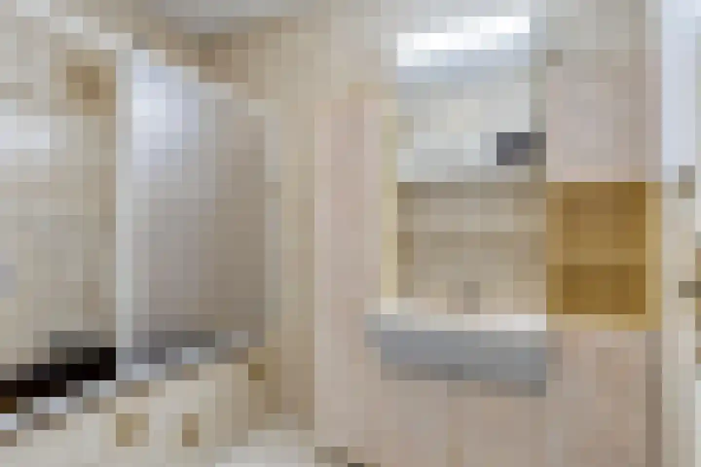 Hugevlietstraat 12 Biervliet thumbnail 15
