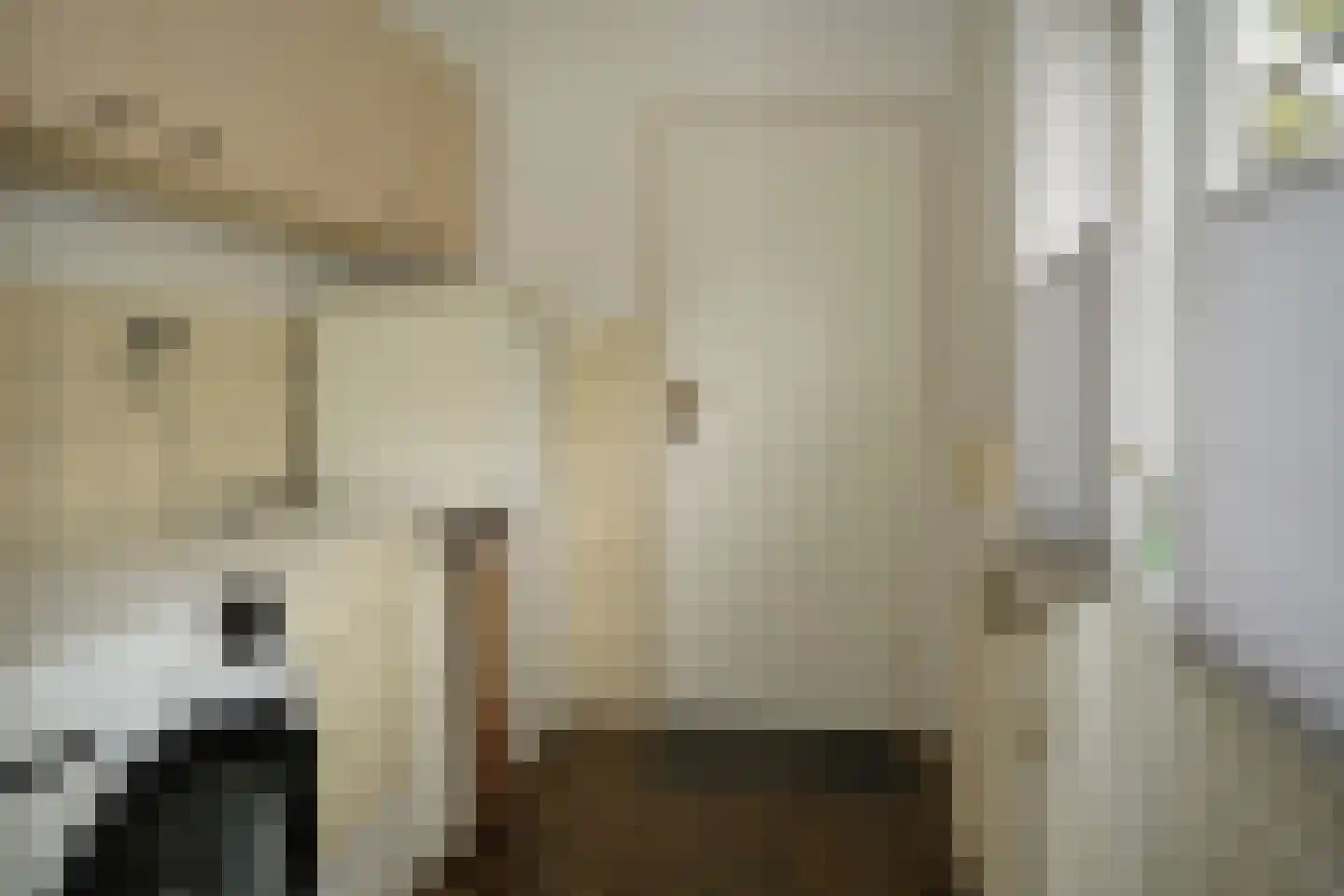 Hugevlietstraat 12 Biervliet thumbnail 18