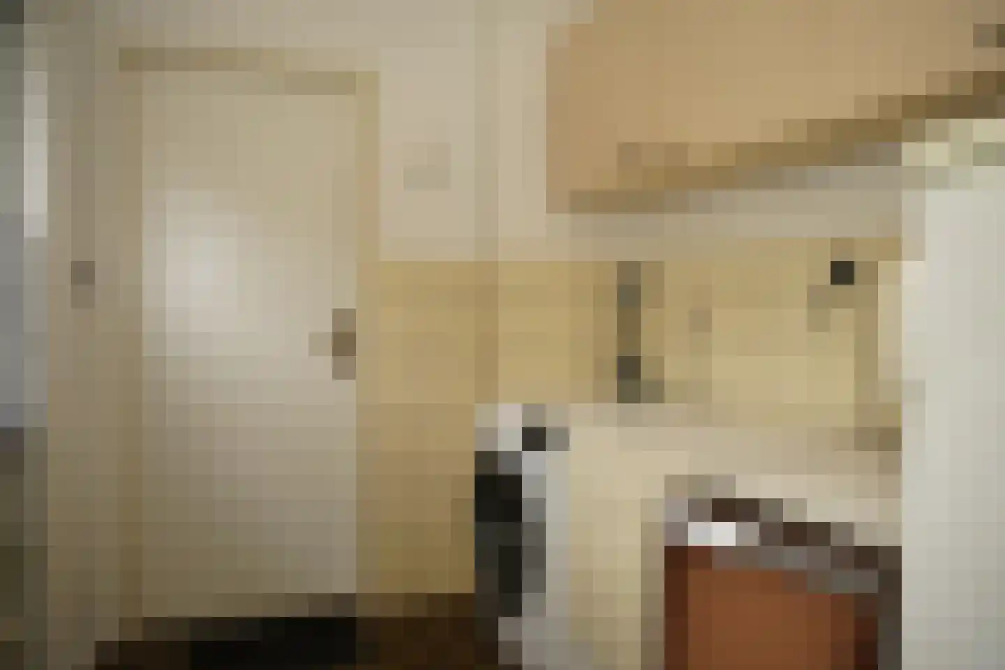 Hugevlietstraat 12 Biervliet thumbnail 19