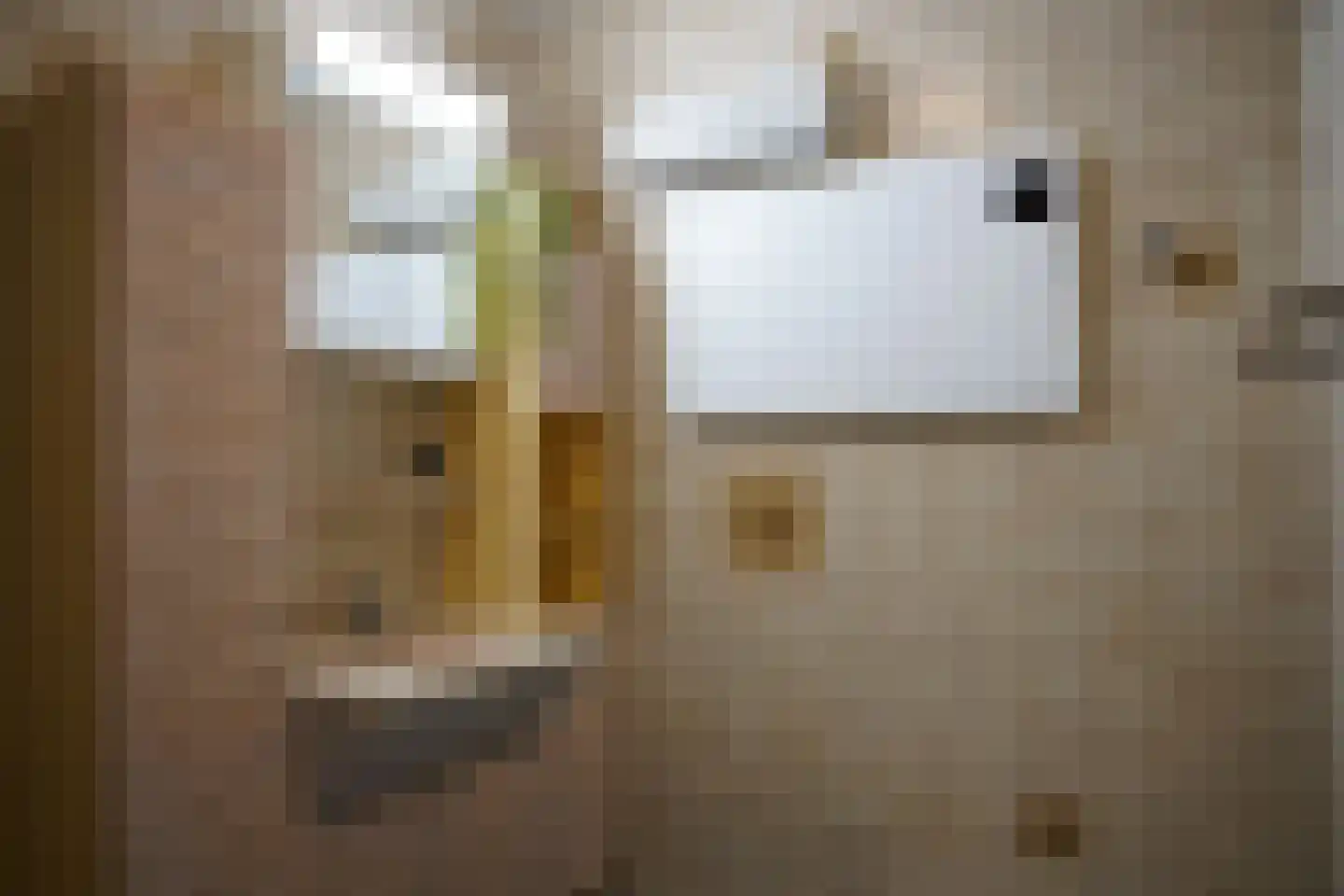 Hugevlietstraat 12 Biervliet thumbnail 26