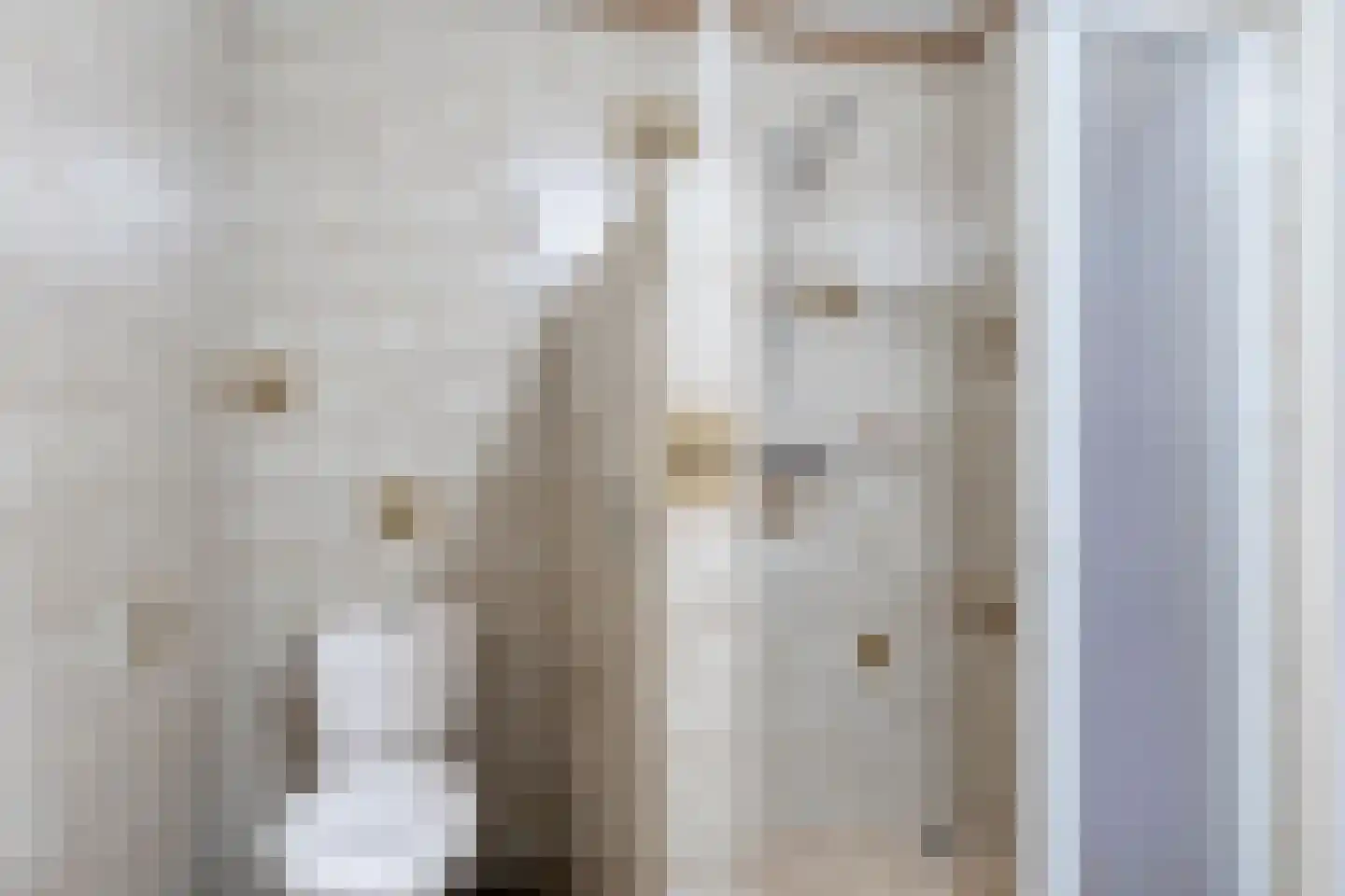 Hugevlietstraat 12 Biervliet thumbnail 27
