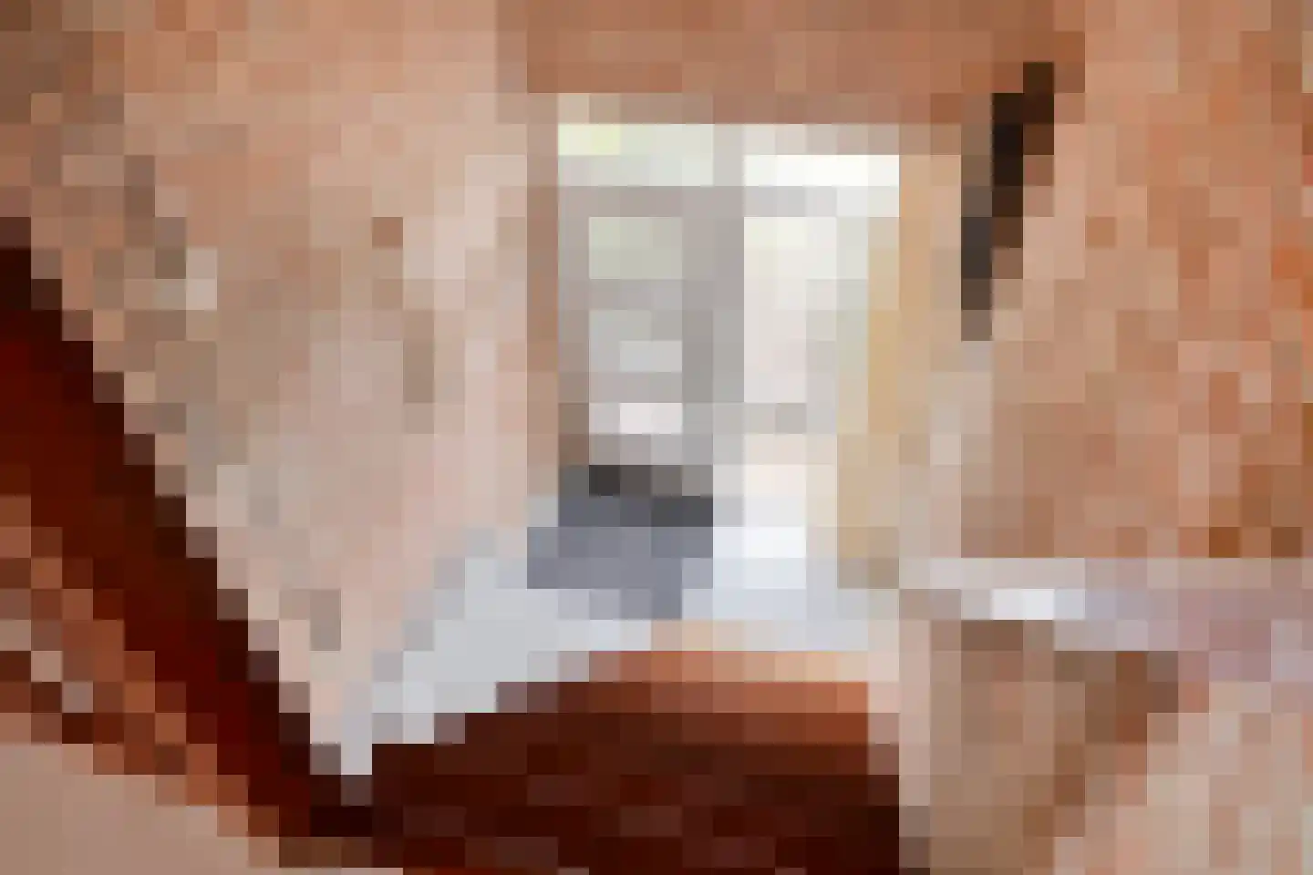 Hugevlietstraat 12 Biervliet thumbnail 30
