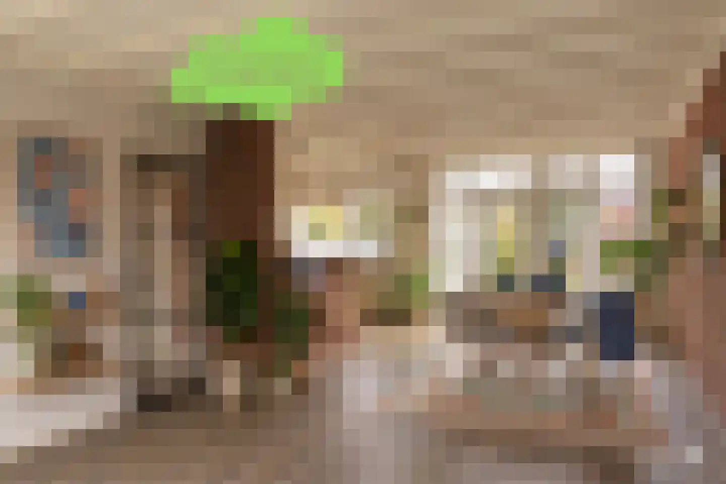Hugevlietstraat 12 Biervliet thumbnail 4