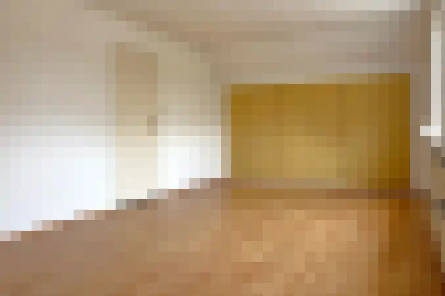 Hugevlietstraat 12 Biervliet thumbnail 42