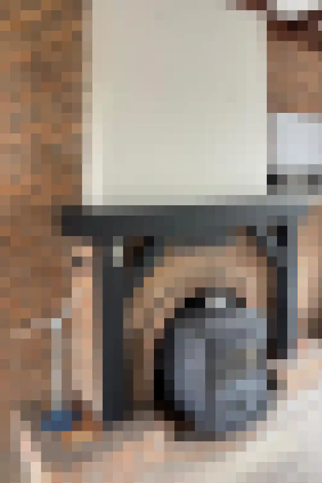 Hugevlietstraat 12 Biervliet thumbnail 6