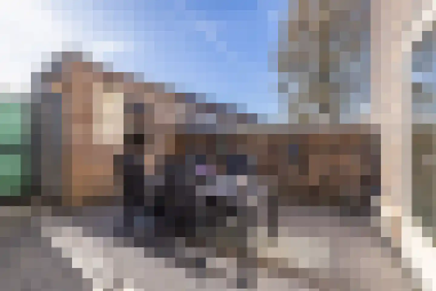 Hugo Claushof 6 Leiden thumbnail 23