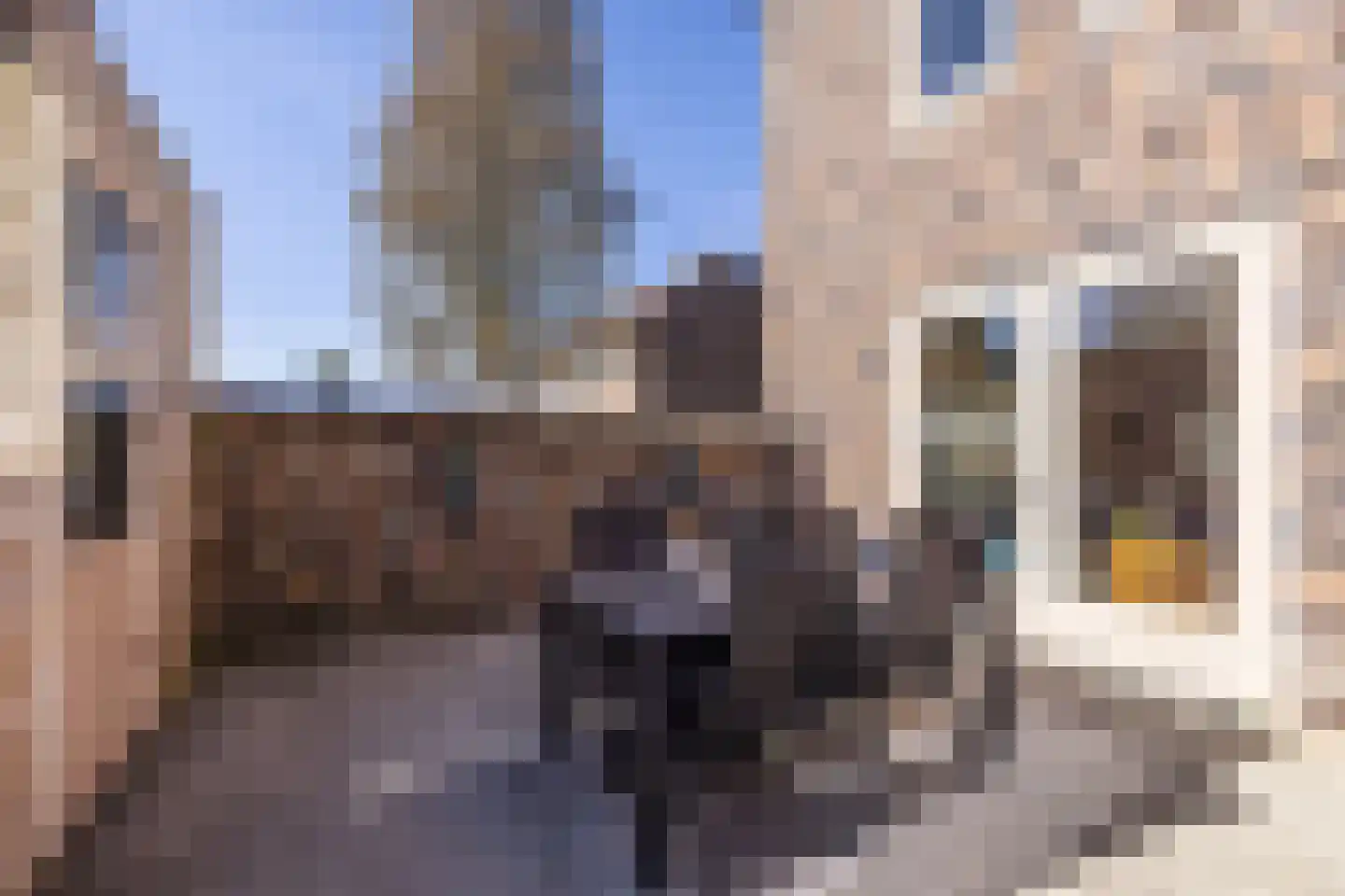 Hugo Claushof 6 Leiden thumbnail 25