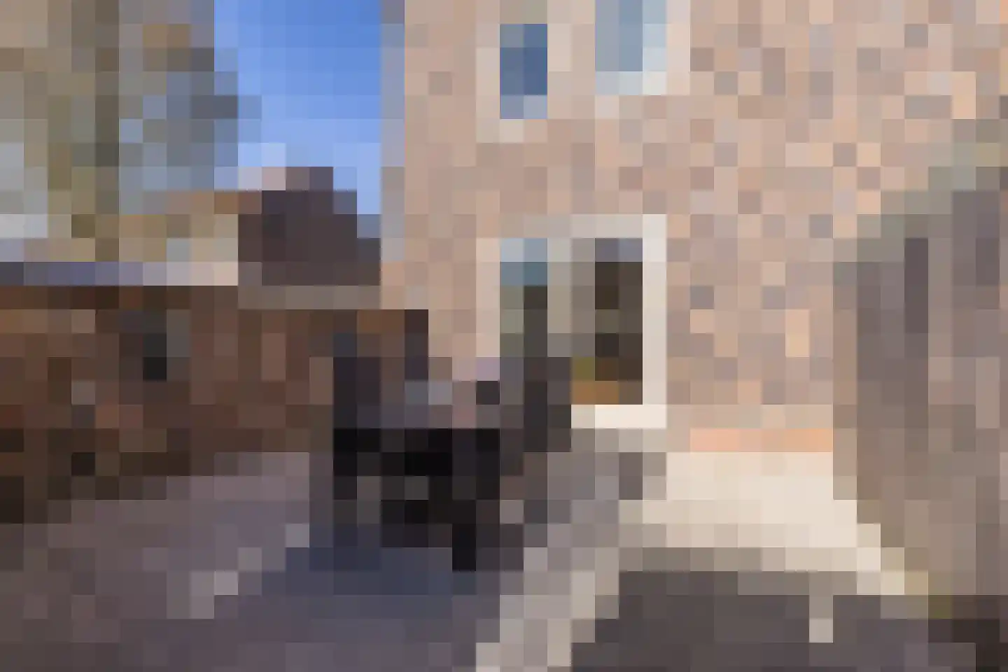 Hugo Claushof 6 Leiden thumbnail 26