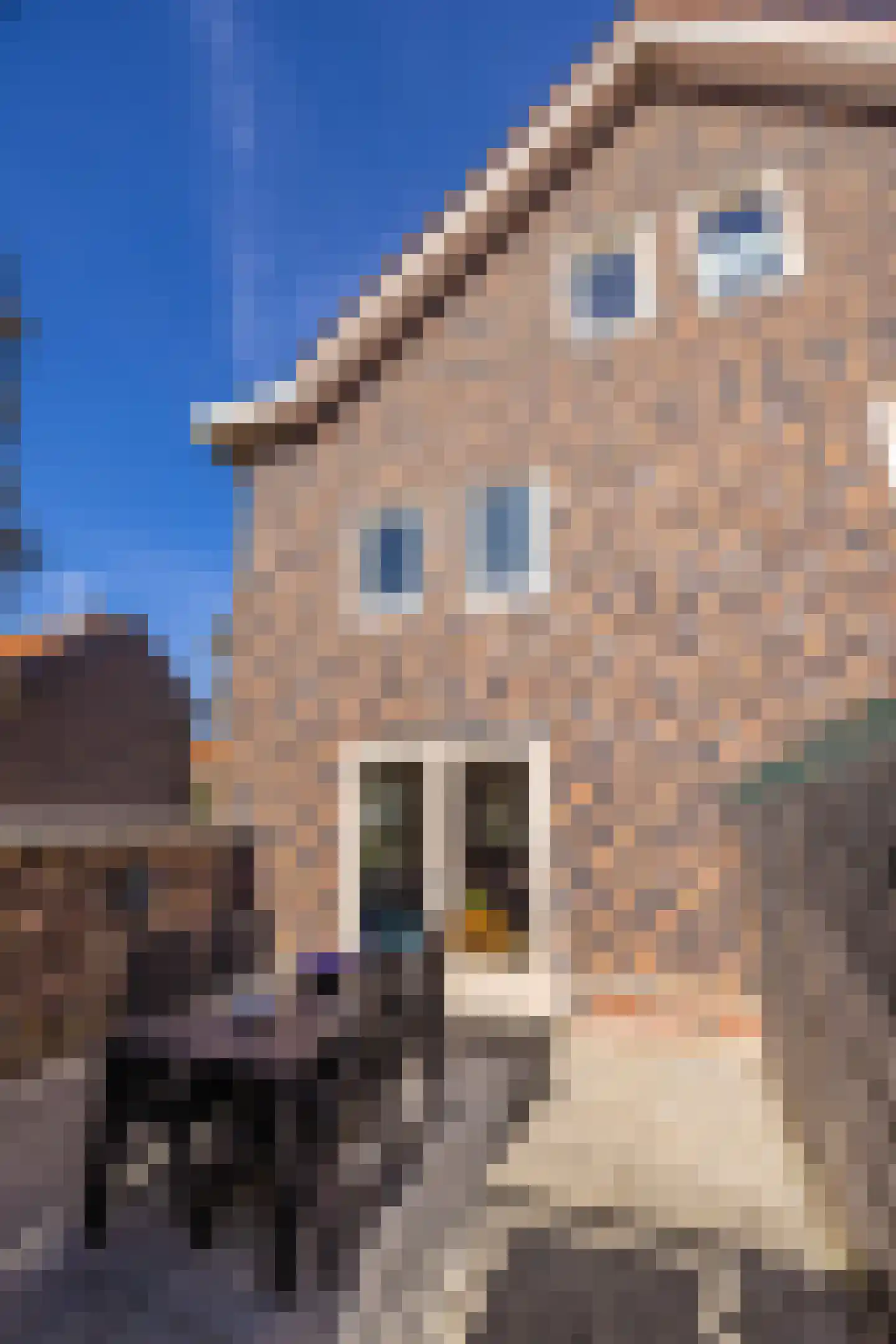 Hugo Claushof 6 Leiden thumbnail 27