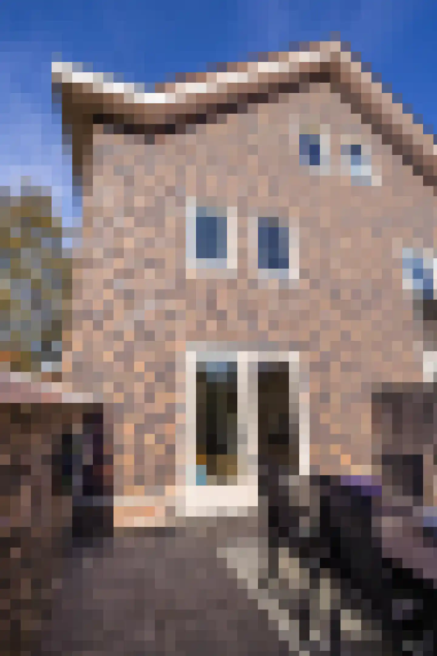 Hugo Claushof 6 Leiden thumbnail 28