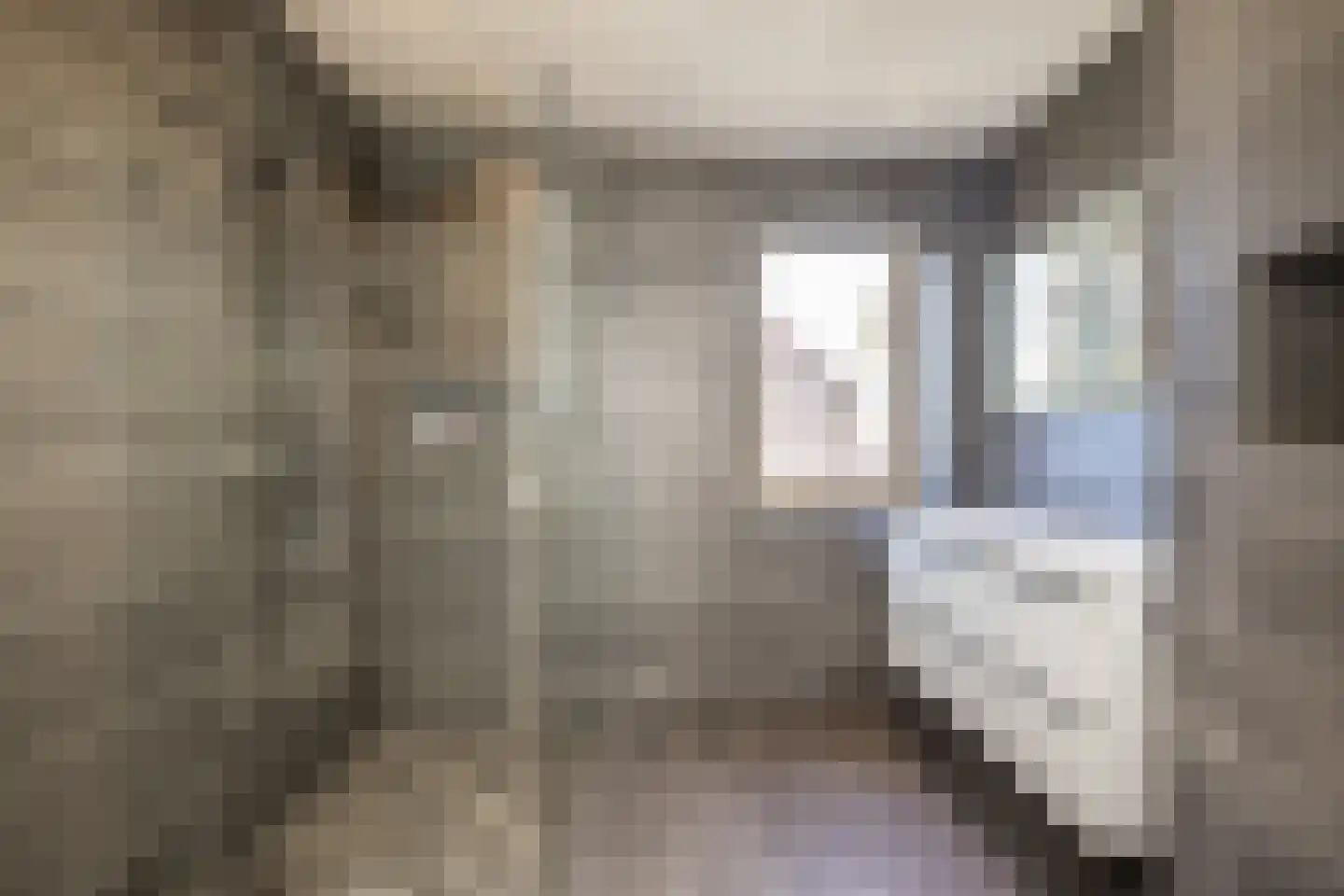 Hugo Claushof 6 Leiden thumbnail 39