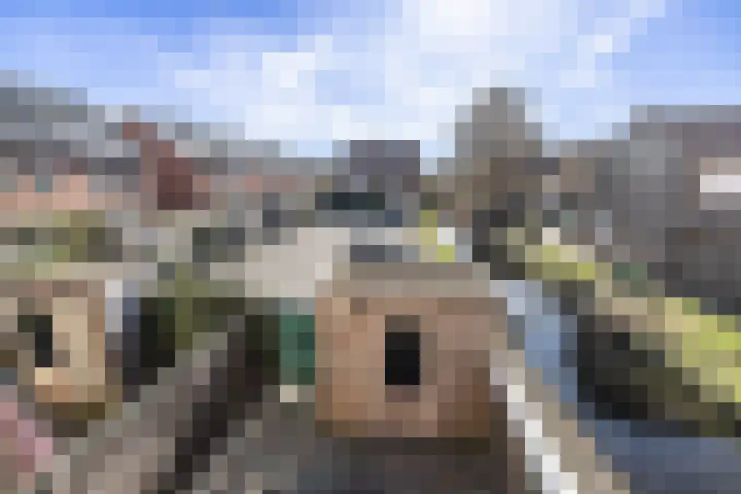 Hugo Claushof 6 Leiden thumbnail 46