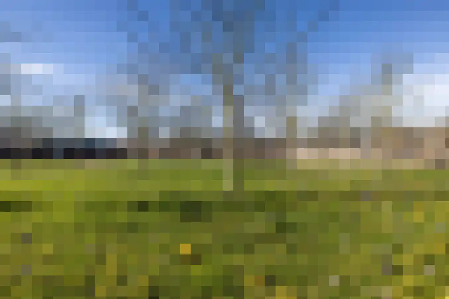 Hugo Claushof 6 Leiden thumbnail 56