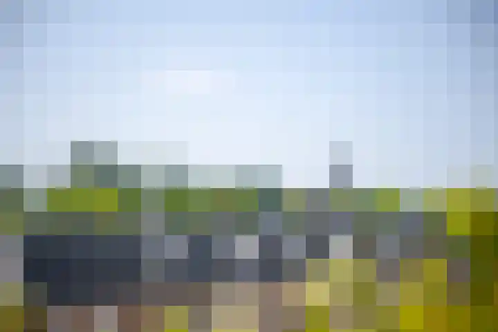 Hugo Clausstraat 28 Voorschoten thumbnail 23